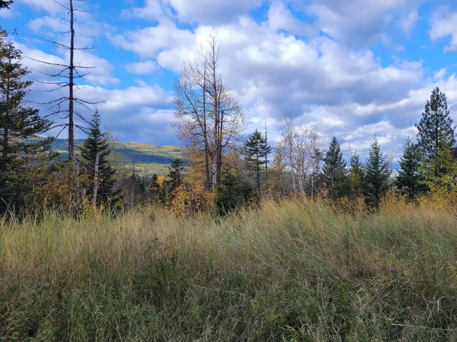 NHN Swan Lake Overlook, Bigfork, MT 59911 - Image #2