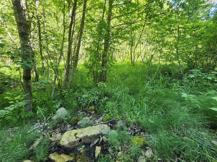 NHN Silver Butte Road, Libby, MT 59923 - Image #2