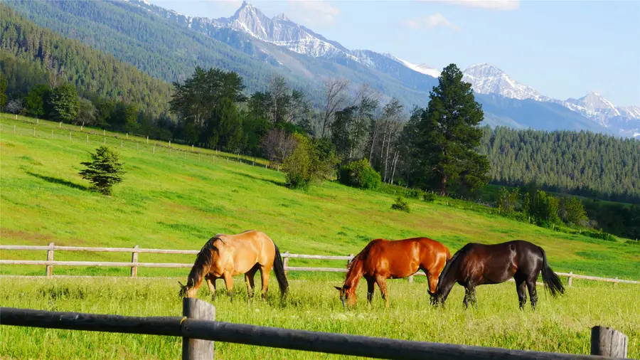 41698 Canal Road, Ronan, MT 59864 - Image #2