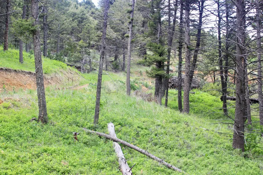 68 Wildlife Way, Jefferson City, MT 59638 - Image #3