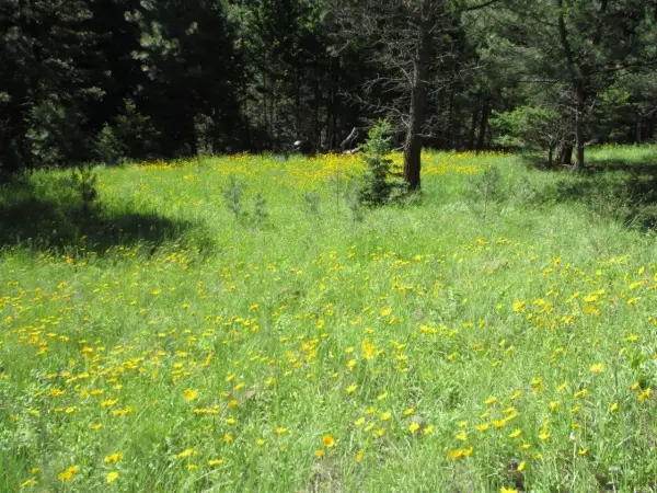 846 Upper Andy Creek Lane, Cascade, MT 59421