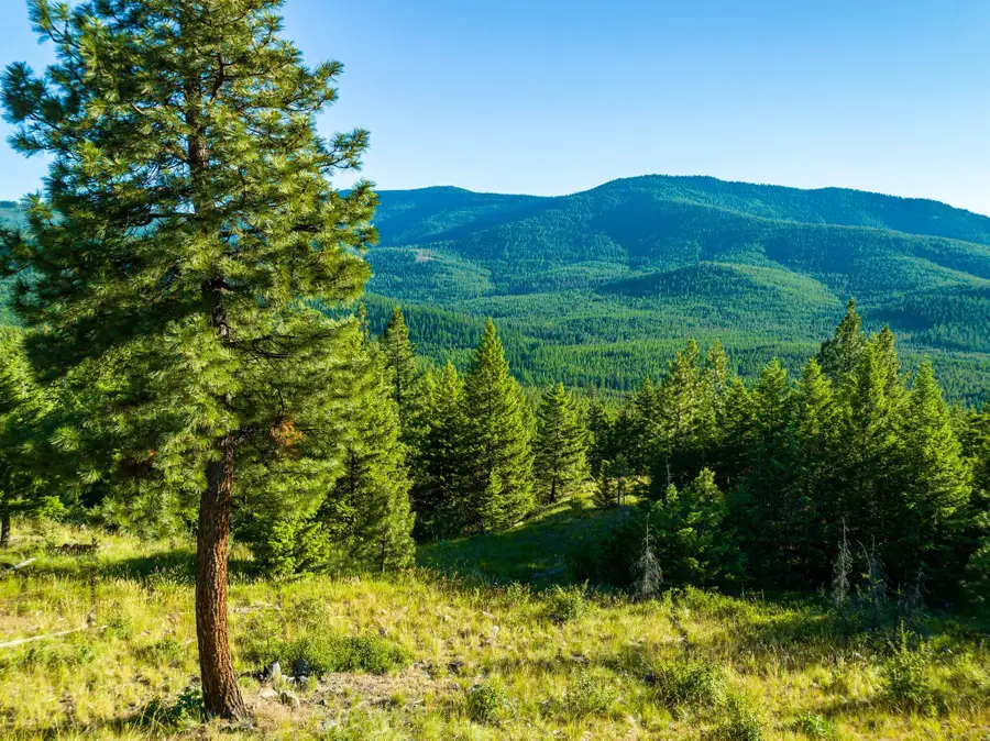 467 Wolf Creek Road, Libby, MT 59923 - Image #2