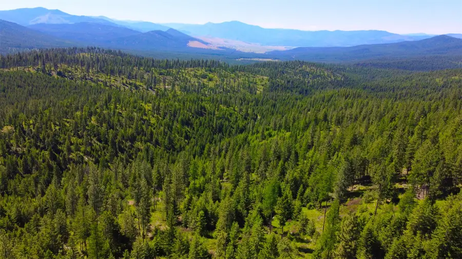 Nhn Corona Rd Ranch, Plains, MT 59859 - Image #2