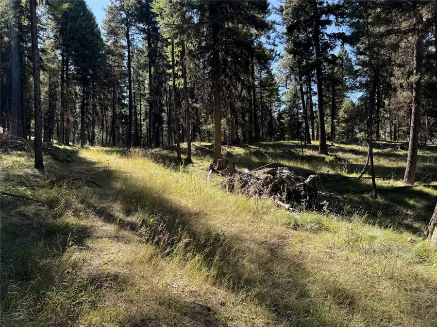 643 & 589 Stagecoach Drive, Seeley Lake, MT 59868 - Image #2