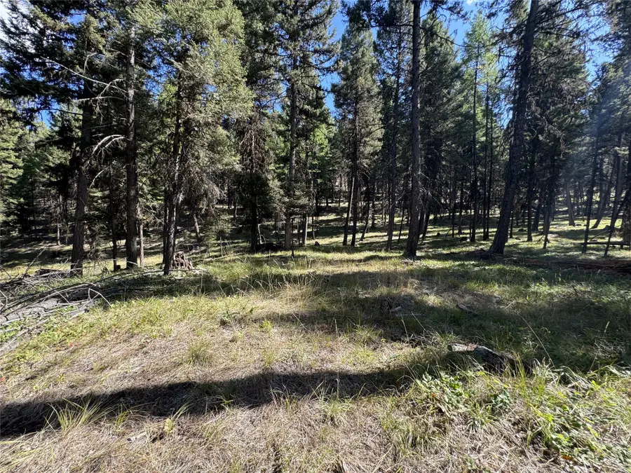 643 & 589 Stagecoach Drive, Seeley Lake, MT 59868 - Image #3