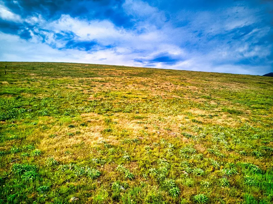 NHN Sweet Pea Way, Missoula, MT 59808 - Image #2