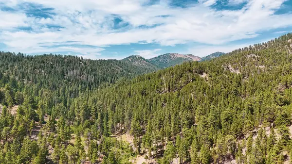 NHN Upper Andy Creek Lane, Cascade, MT 59421