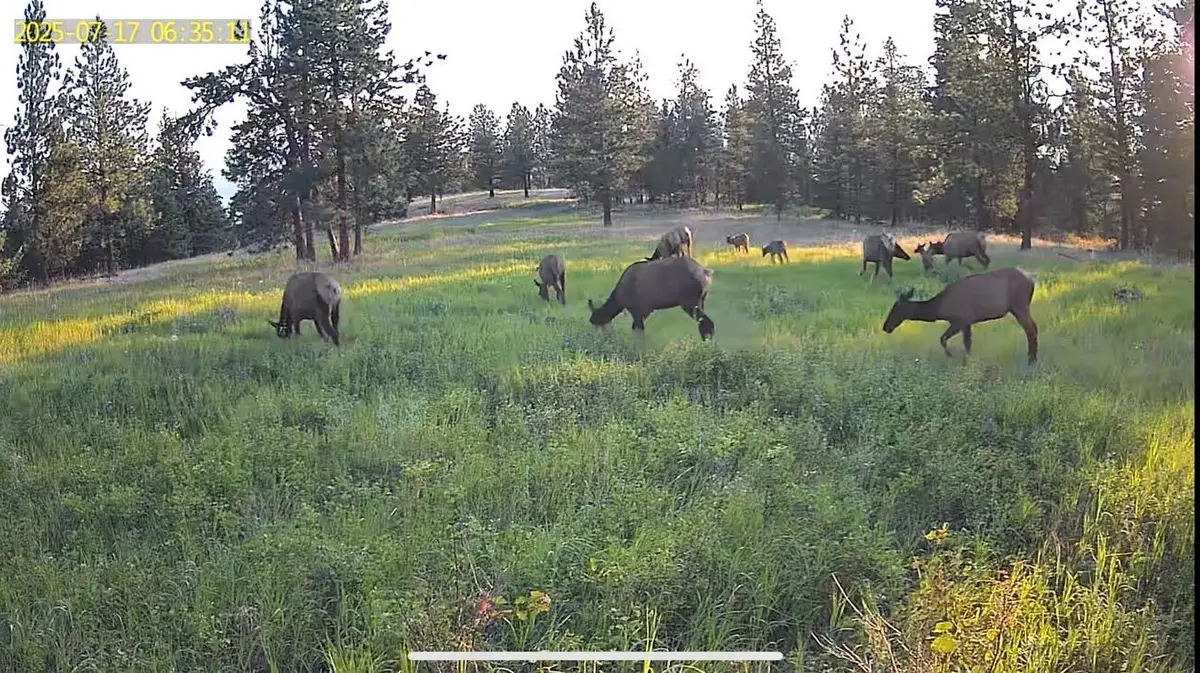 2434 Morning Dun Road - Lot 2 Road, Missoula, MT 59804 - Image #1