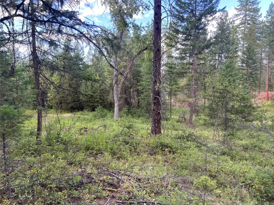 TBD Granite Lake Road #6, Libby, MT 59923 - Image #2
