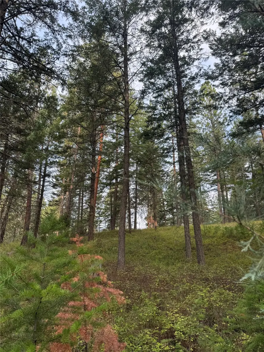 NHN Rocky Point Road, Polson, MT 59860 - Image #2