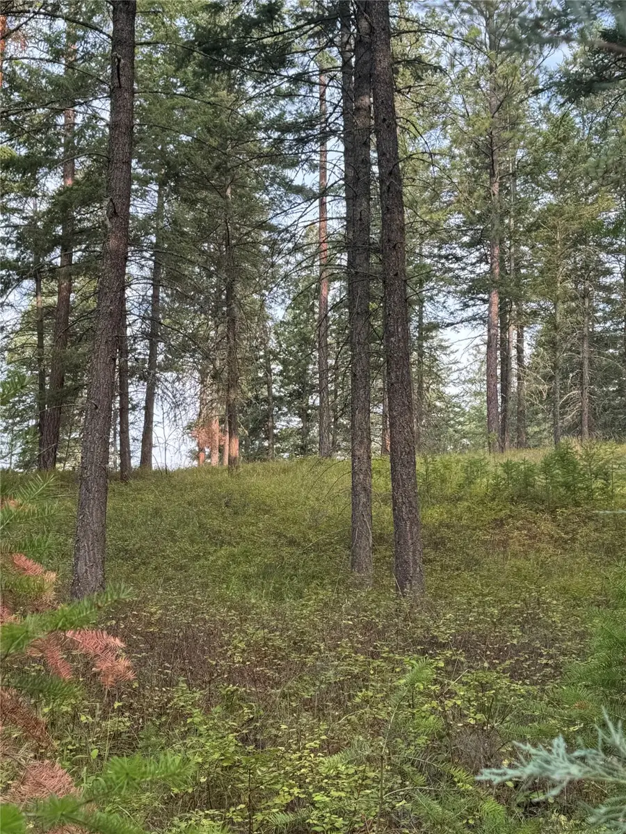 NHN Rocky Point Road, Polson, MT 59860 - Image #3