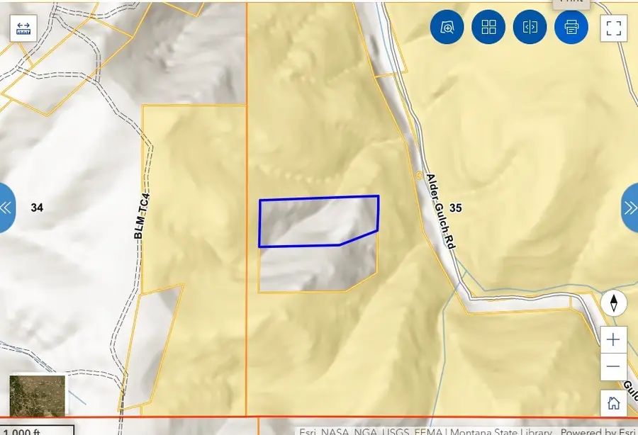 TBD Wilson Lode Survey No. 10360, Virginia City, MT 59729 - Image #2