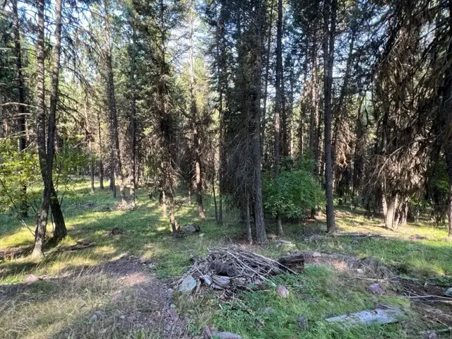 433 Stage Coach Drive, Seeley Lake, MT 59868 - Image #3