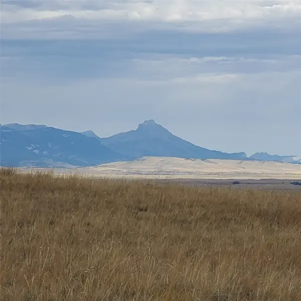 NHN N Tamarack Drive, Augusta, MT 59410