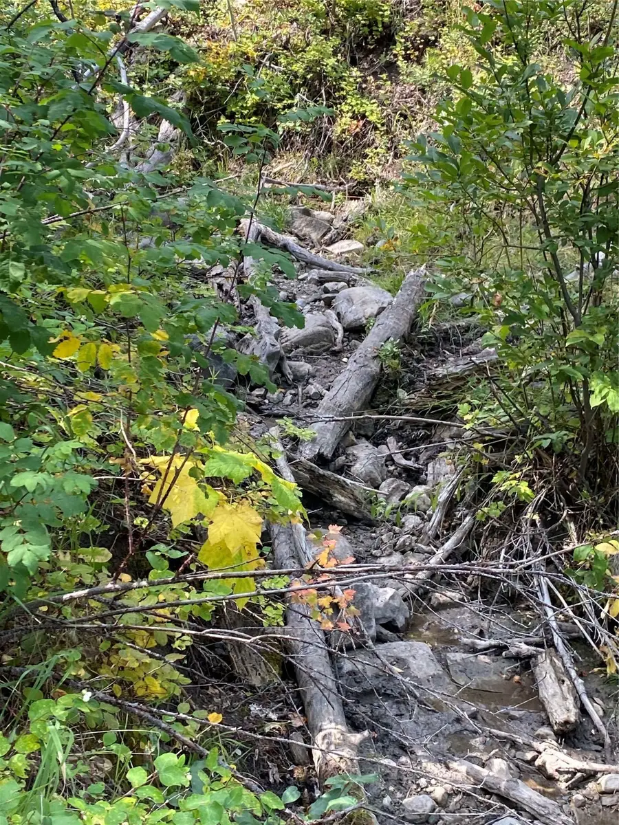 Nhn Arlie Tracts - Lot 30, Babb, MT 59411 - Image #2