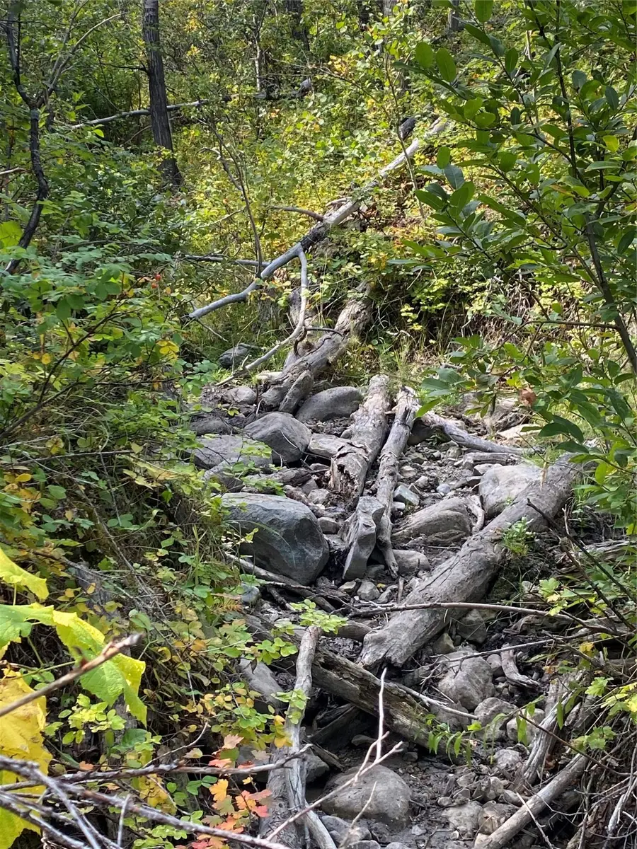 Nhn Arlie Tracts - Lot 30, Babb, MT 59411 - Image #3