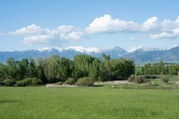 1862 & 1864 Durston Road, Bozeman, MT 59718