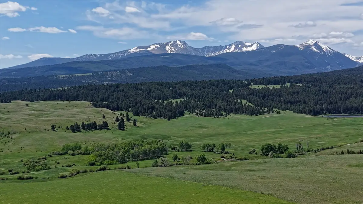 NHN Lot 10 Willow Creek Loop Road, Deer Lodge, MT 59722 - Image #1