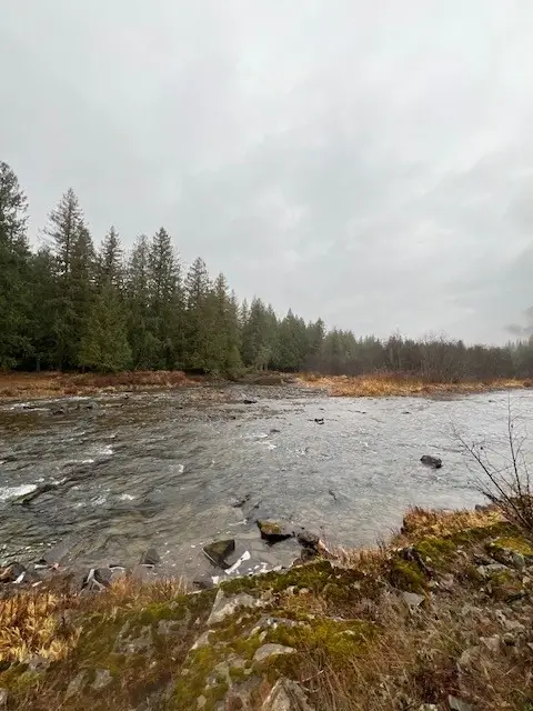 777 Cedars Drive, Troy, MT 59935 - Image #3