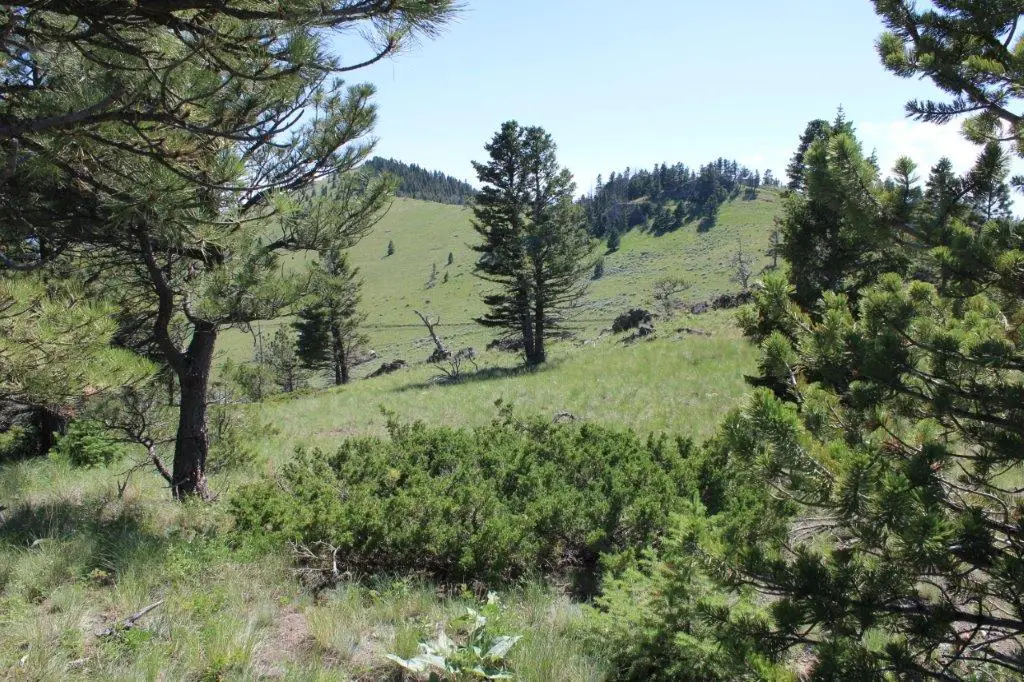 TBD Black Canyon Lane, Cascade, MT 59421 - Image #1