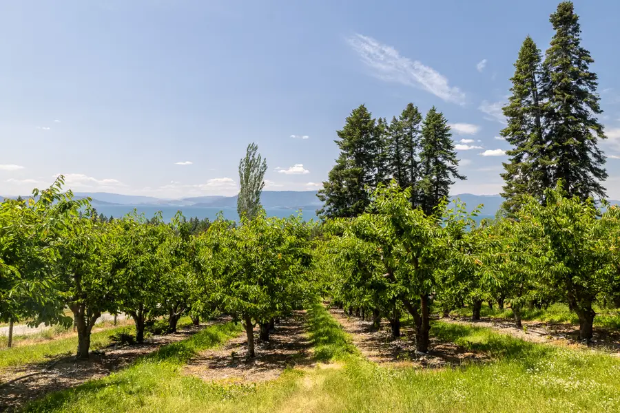 21770 Mt Highway 35, Bigfork, MT 59911 - Image #2