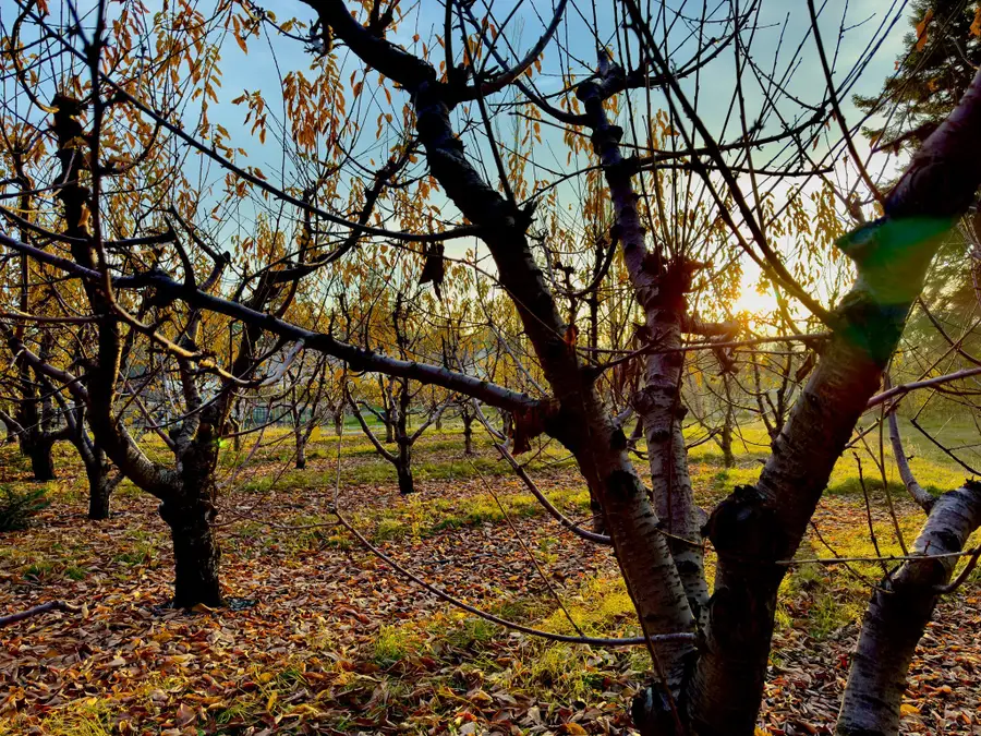 21770 Mt Highway 35, Bigfork, MT 59911 - Image #3