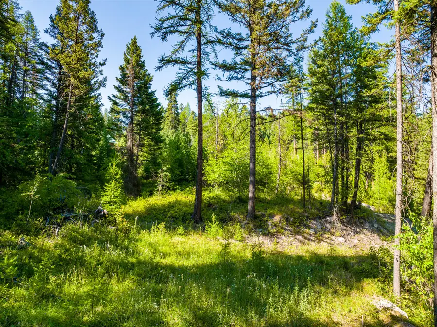 2255 Ashley Lake Road, Kalispell, MT 59901 - Image #2