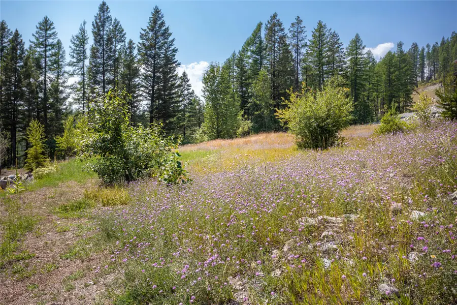 302 Northern Lights Drive, Whitefish, MT 59937 - Image #3