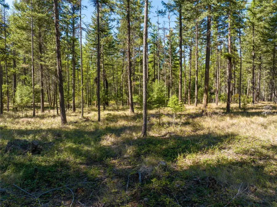 NHN Benchmark Drive, Lakeside, MT 59922 - Image #2