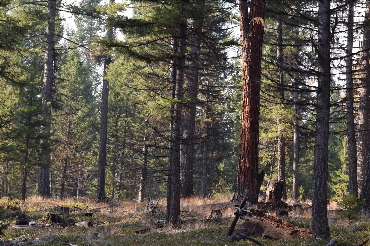 NHN Highway 2, Marion, MT 59925 - Image #1