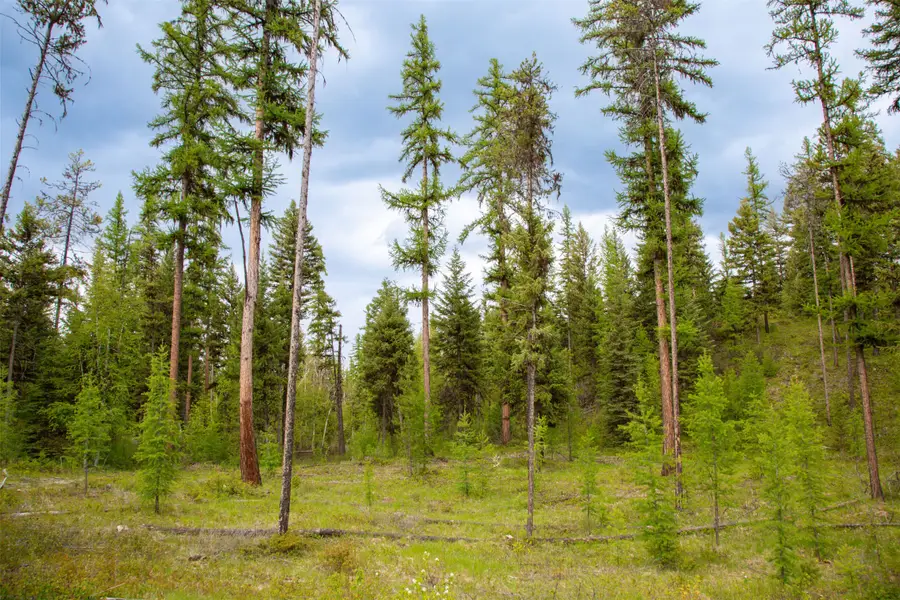 2290 Mountain Home Road, Whitefish, MT 59937 - Image #2