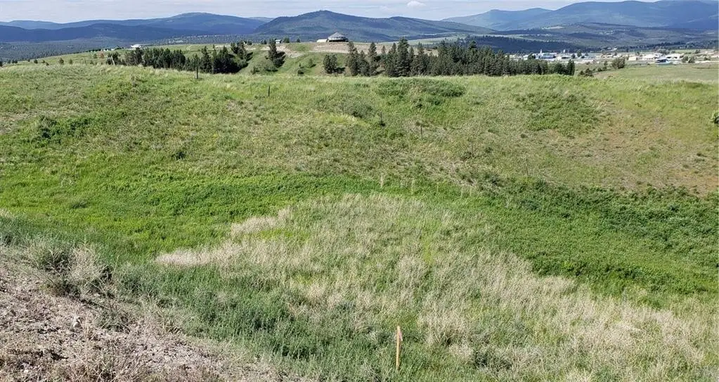 132 Grassy Loop, Eureka, MT 59917 - #1