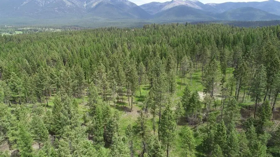 151 Coffee Drive, Eureka, MT 59917 - #2