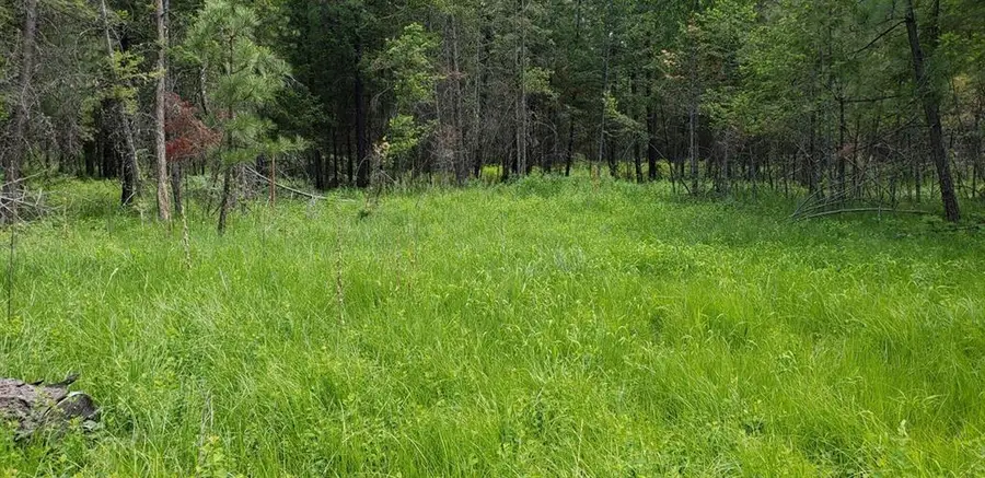 151 Coffee Drive, Eureka, MT 59917 - #3