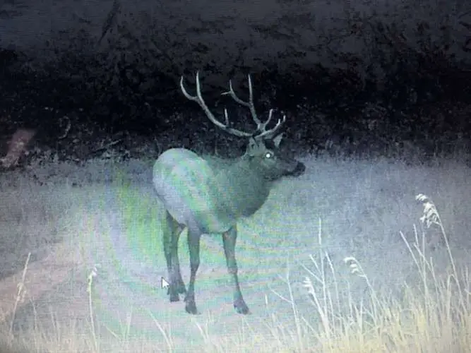 8229 Dead End Trail, Lincoln, MT 59639 - Image #2