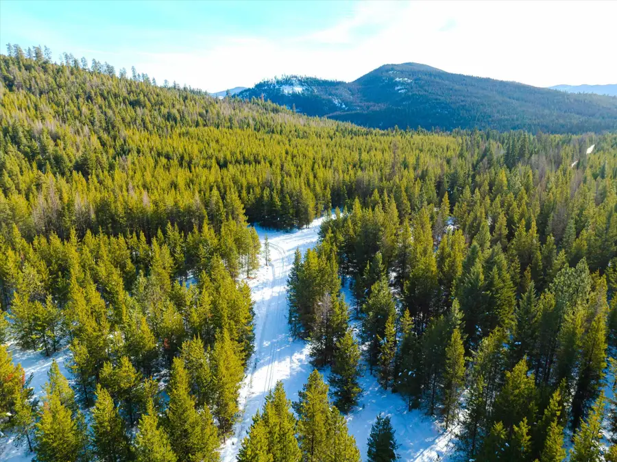 NHN Elk Creek - Mcginnis Meadows Road Section 11, Libby, MT 59923 - Image #3