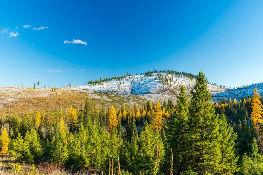 Nhn Mcginnis Meadows - Bayhorse Road Section 5, Libby, MT 59923 - Image #2