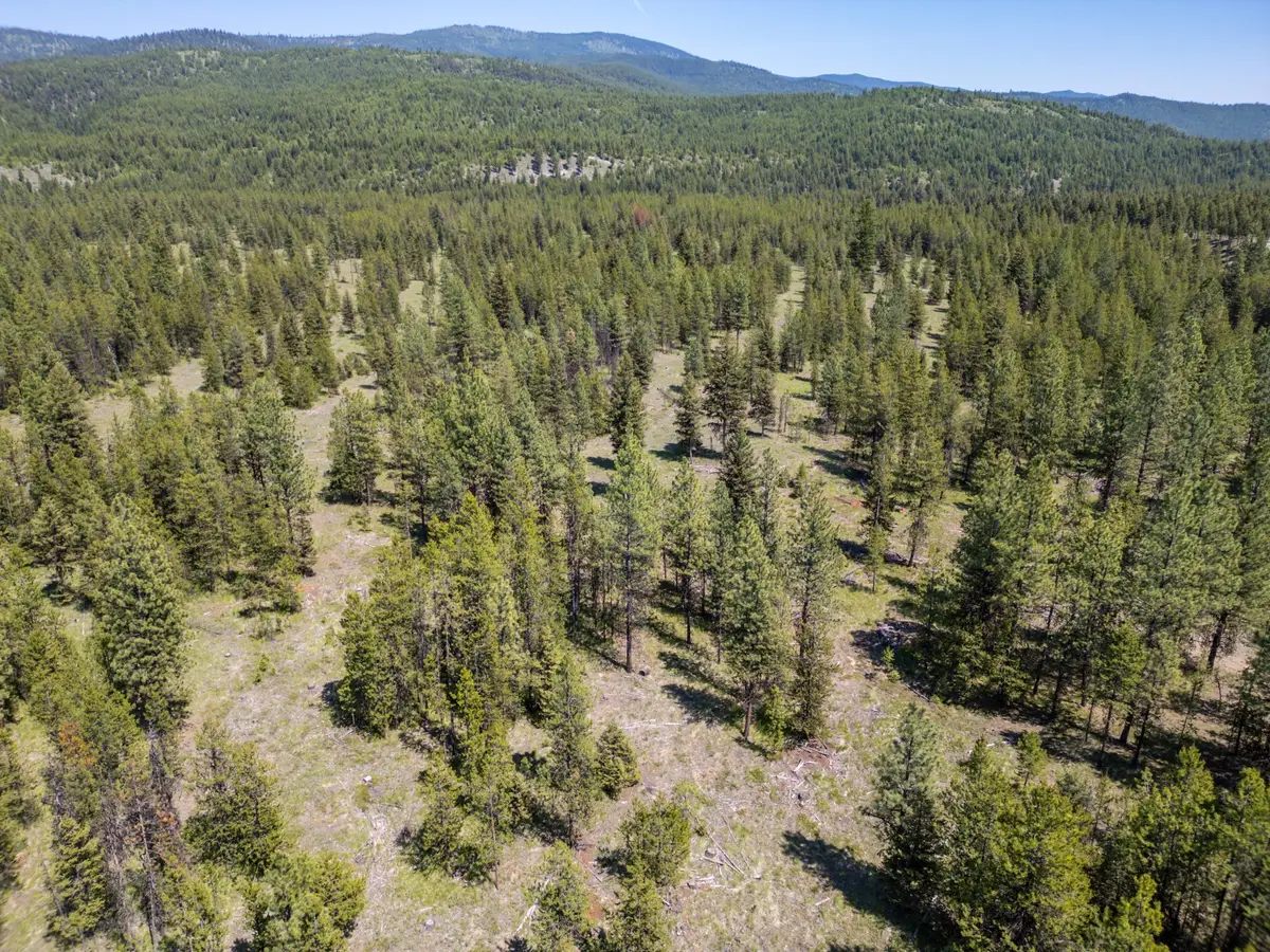 Lot 9 Acm Road N, Libby, MT 59923 - Image #1