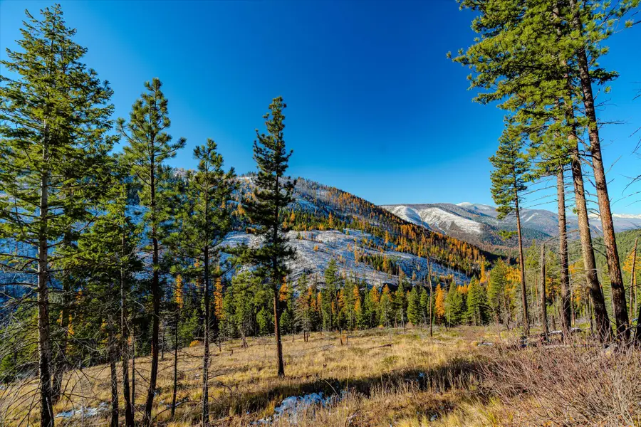 Nhn Mcginnis Meadows - Bayhorse Road Section 7, Libby, MT 59923 - Image #2