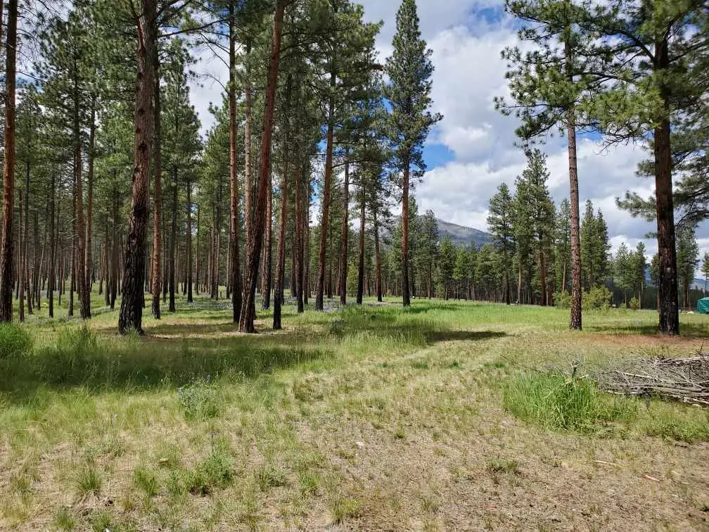 1161 Janes Way, Hamilton, MT 59840 - Image #1