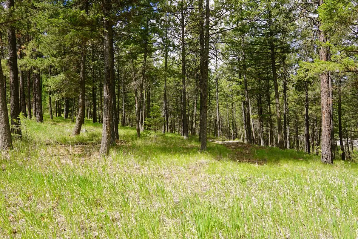 50 Skyview Drive, Rexford, MT 59930 - Image #1