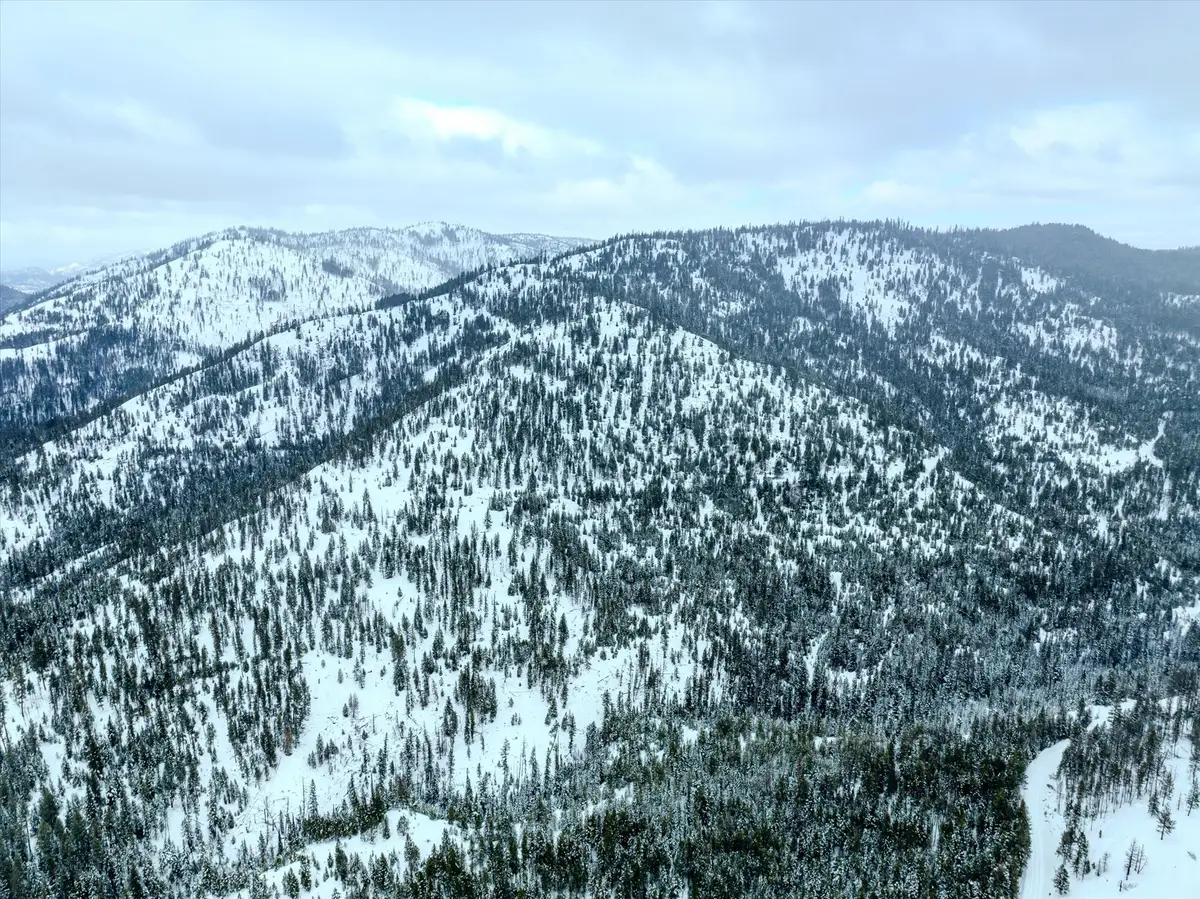 Nhn Mcginnis Meadows - Bayhorse Road Section 1, Libby, MT 59923 - #1