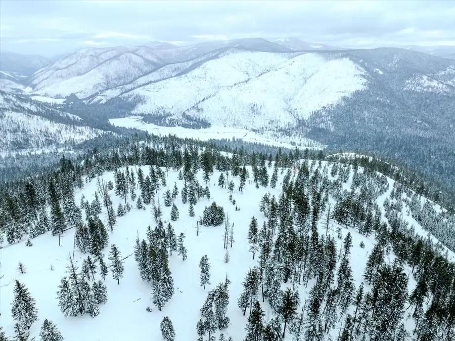 Nhn Mcginnis Meadows - Bayhorse Road Section 1, Libby, MT 59923 - #3