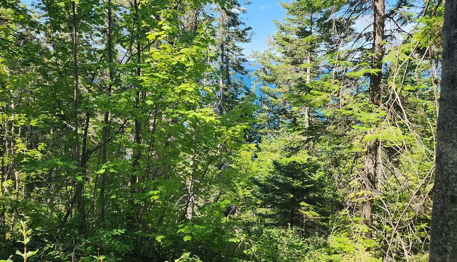 24699 Mt Highway 35, Bigfork, MT 59911 - Image #3