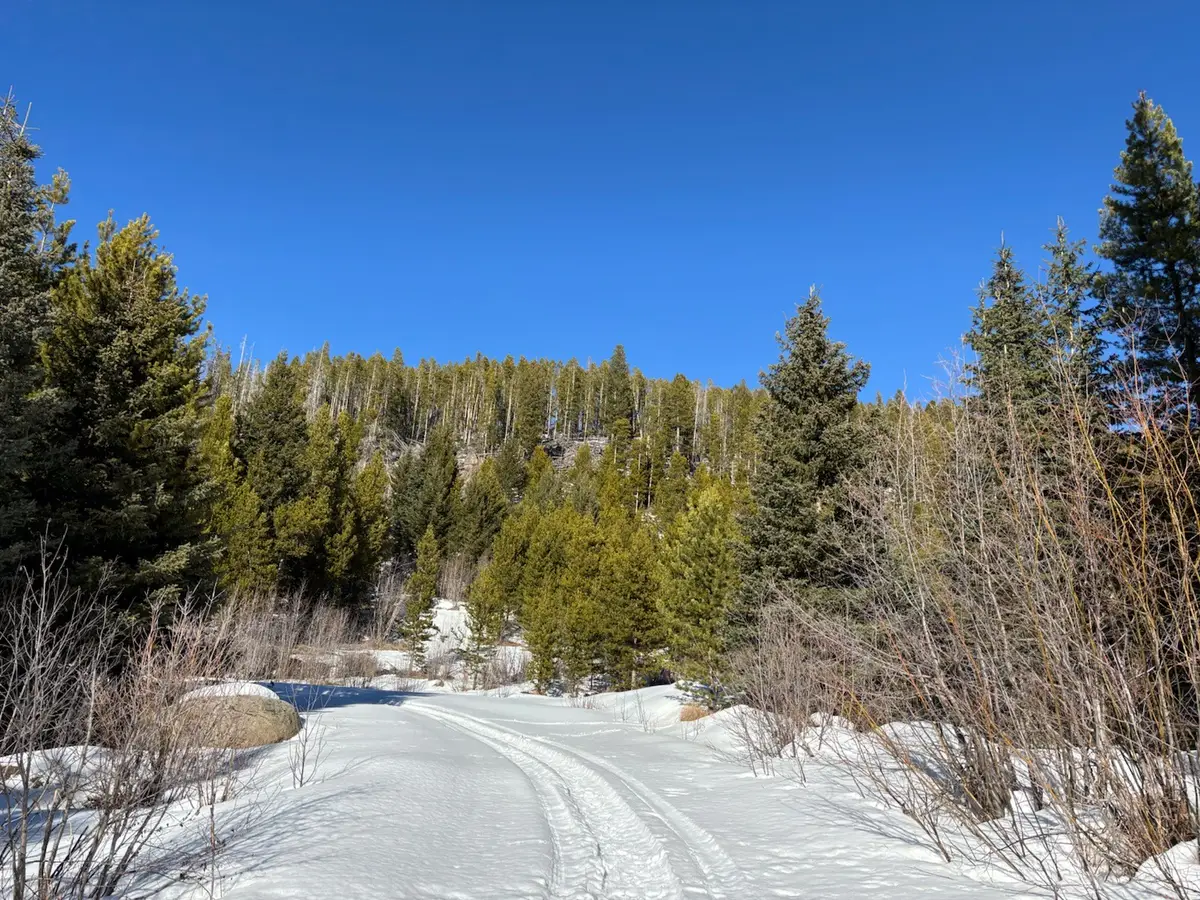 121 S Granite Road, Philipsburg, MT 59858 - Image #1