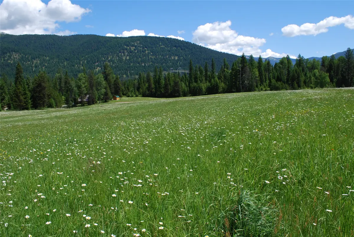 Nhn Timber Meadows Lane, Trout Creek, MT 59874 - Image #1