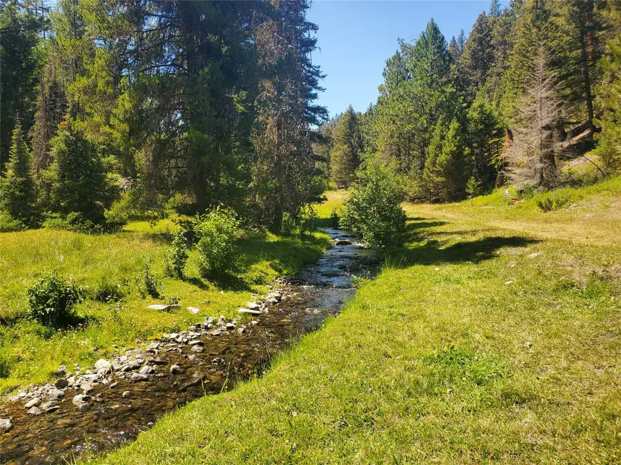 NHN Wales Creek Road, Helmville, MT 59843 - Image #2