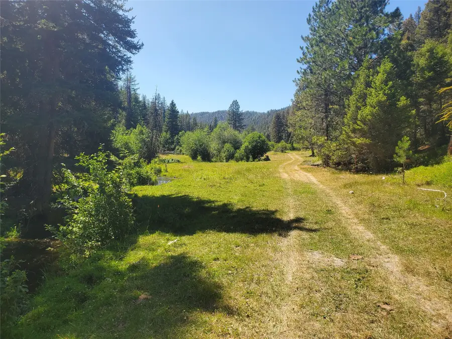 NHN Wales Creek Road, Helmville, MT 59843 - Image #3