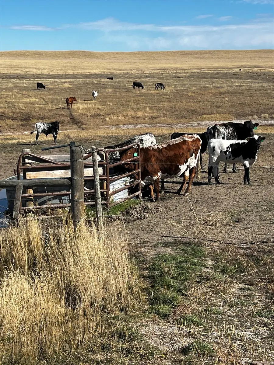 1191 10th Road Ne, Power, MT 59468 - Image #2