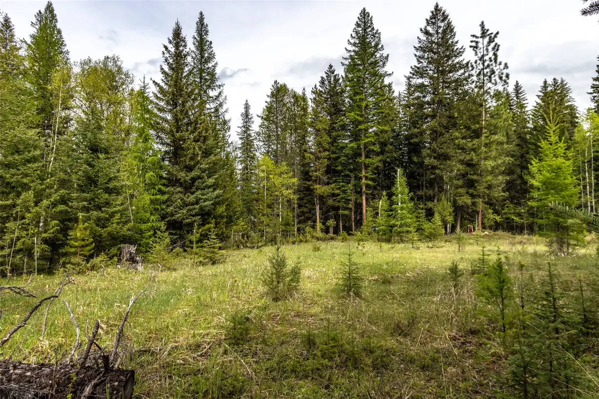 37 Soaring Eagle Trail, Fortine, MT 59918 - Image #1